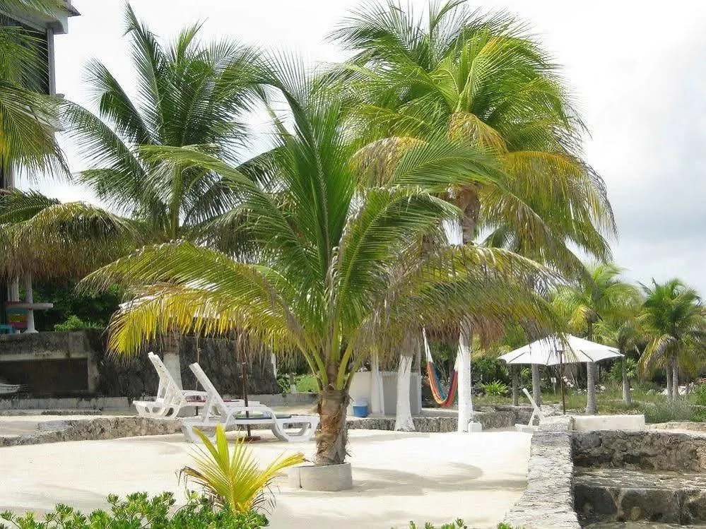 Condumel Condominiums Cozumel